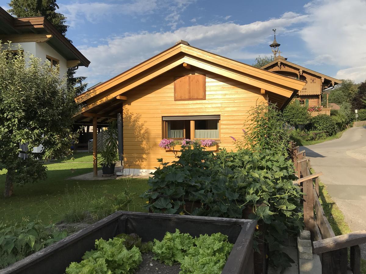 Ferienhaus Hofwimmer Kirchberg in Tirol Exterior foto